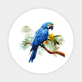 Hyacinth Macaw Magnet